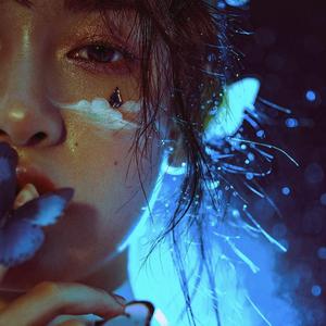 奖励软件大全免费
